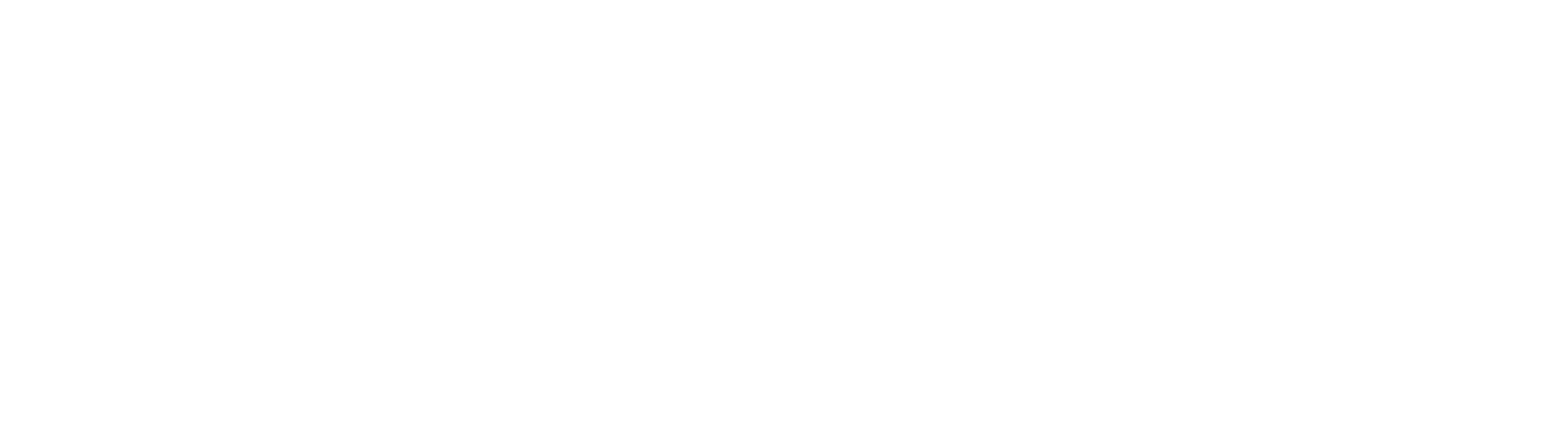 lionsister.eu